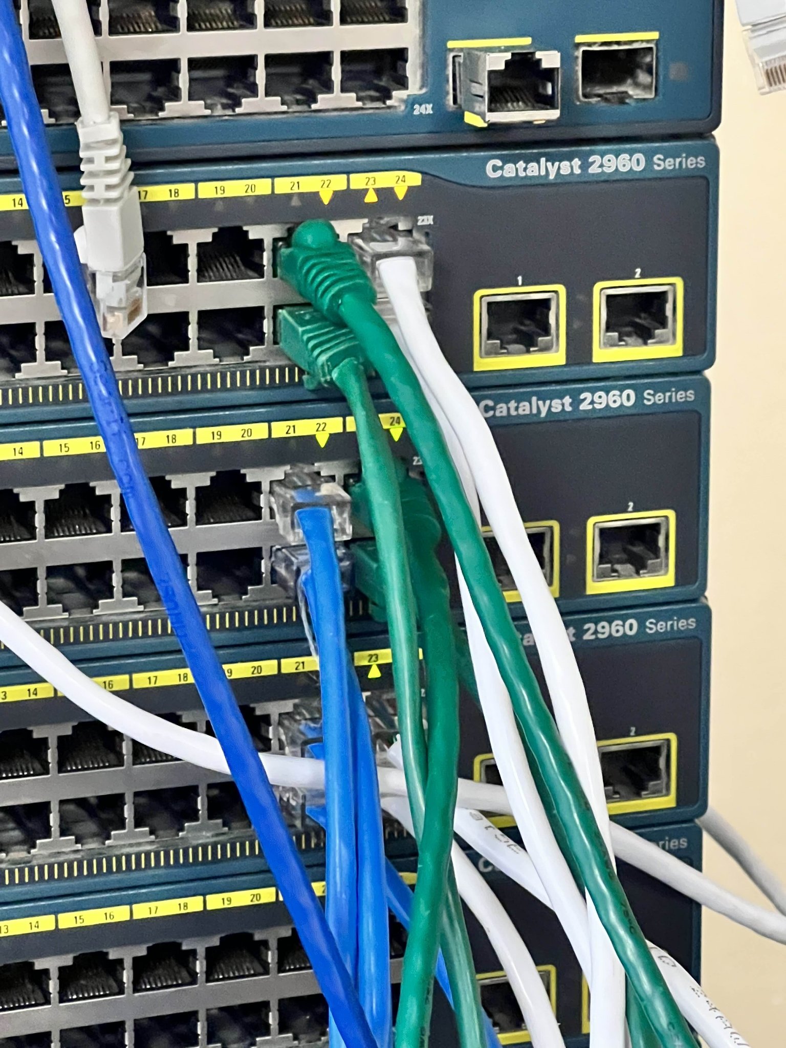 Close-up of Cisco Catalyst 2960 switches with color-coded patch cables